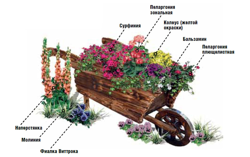 30 самых важных дел в сентябре в саду, огороде и цветнике